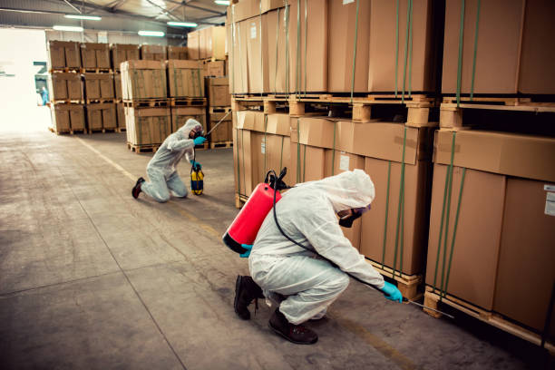 Best Flea Control Services  in Canton, TX