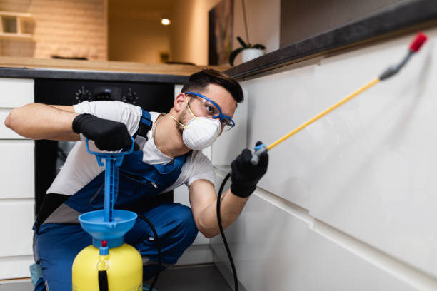 Best Insect Control  in Canton, TX