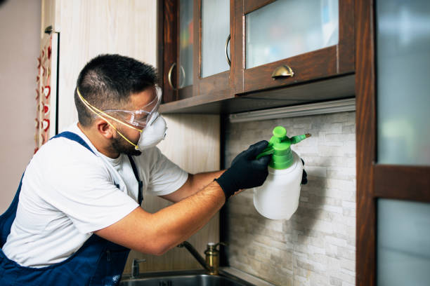 Best Best Pest Control Companies  in Canton, TX