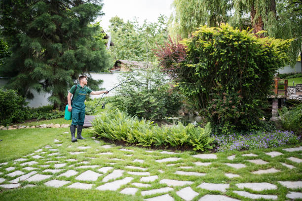 Best Mosquito Control Services  in Canton, TX