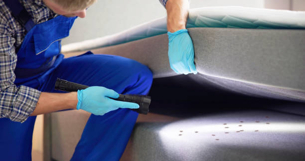 Best Bed Bug Extermination  in Canton, TX