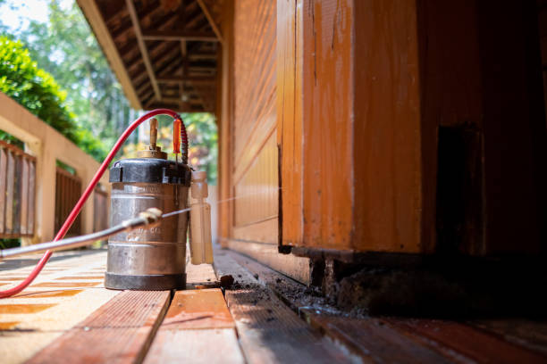 Best Affordable Pest Control Services  in Canton, TX