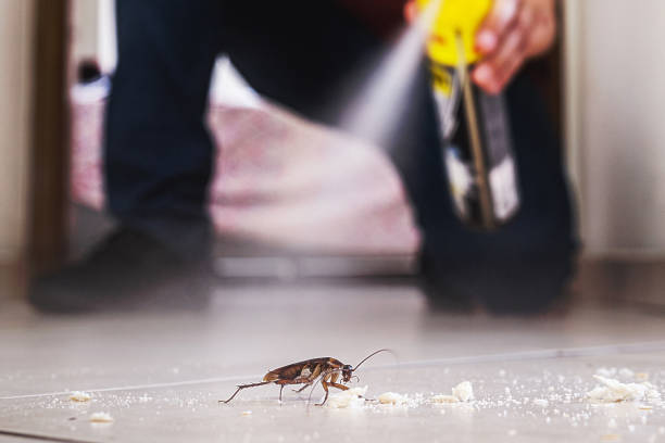 Best Affordable Pest Control Services  in Canton, TX