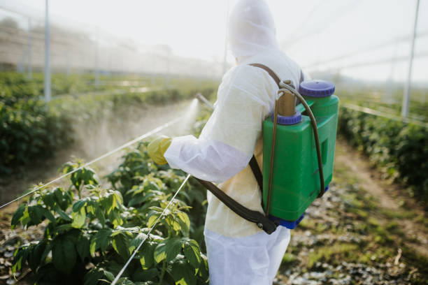 Best Pest Prevention Services  in Canton, TX
